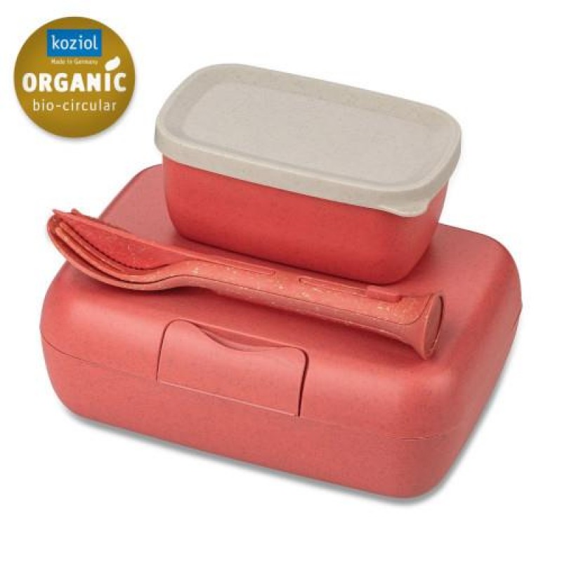Candy Ready Lunch Box-Set + Cutlery-Set Coral