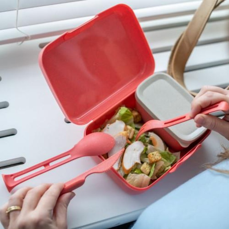 Candy Ready Lunch Box-Set + Cutlery-Set Coral
