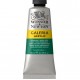 Galeria 60ml Acrylic 482 Permanent Green Deep Galeria 60ml Acrylic 482 Permanent Green Deep