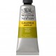 Galeria 60ml Acrylic 294 Green Gold Galeria 60ml Acrylic 294 Green Gold