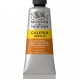 Galeria 60ml Acrylic 74 Burnt Sienna Galeria 60ml Acrylic 74 Burnt Sienna