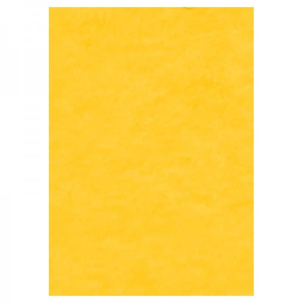 Φύλλο Τσόχας (felt) 20x30cm Golden Yellow Φύλλο Τσόχας (felt) 20x30cm Golden Yellow