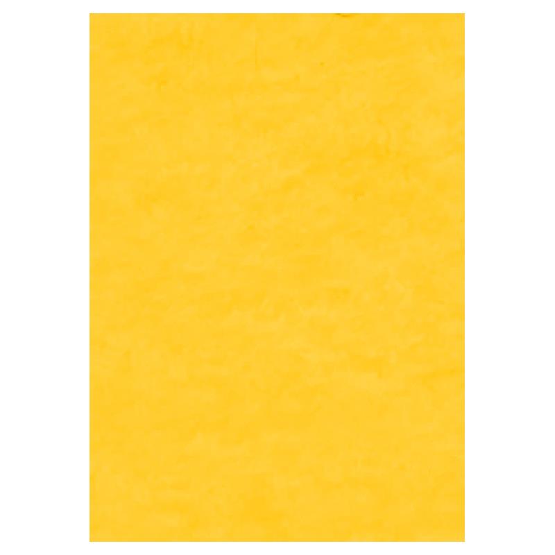 Φύλλο Τσόχας (felt) 20x30cm Golden Yellow