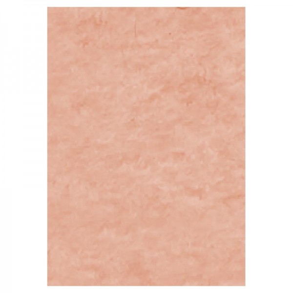 Φύλλο Τσόχας (felt) 20x30cm Flesh