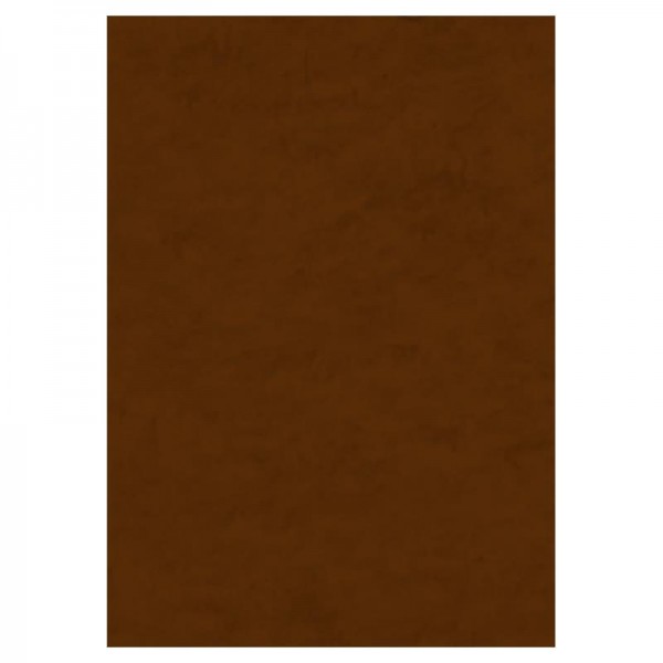 Φύλλο Τσόχας (felt) 20x30cm Brown