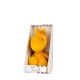 Bonton Woodstock Mini Corduroy Yellow in giftbox 15cm