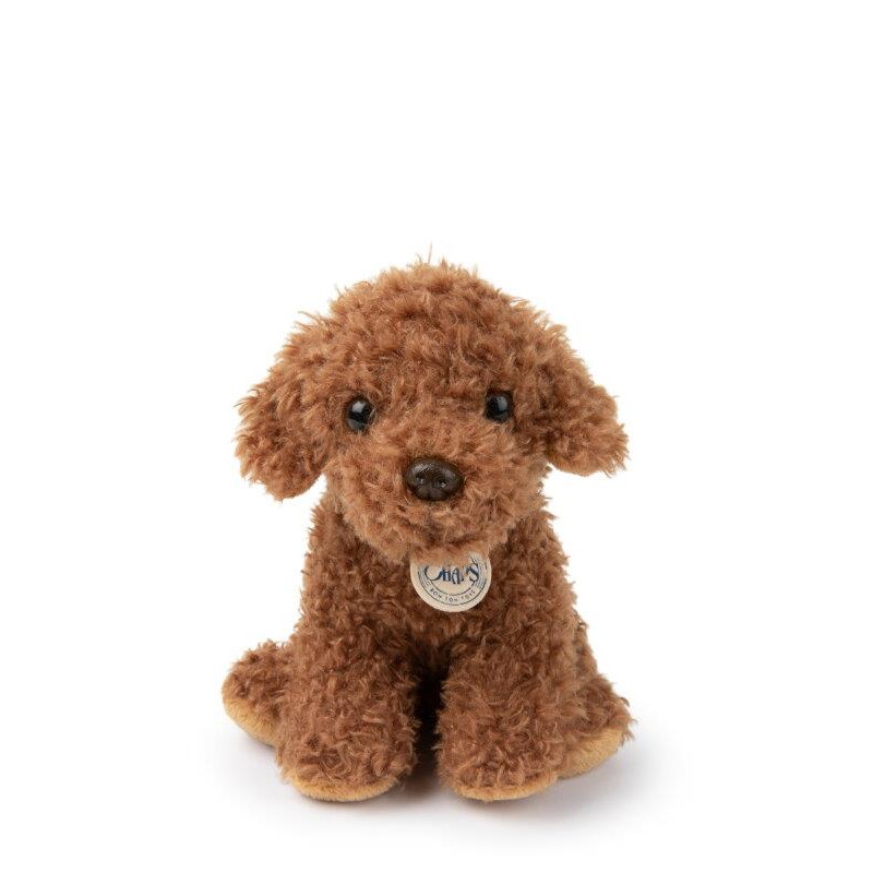 Bonton Stacy the Labradoodle in giftbox