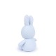 Bonbon Miffy Sitting Blue in giftbox