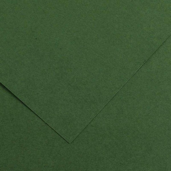 Canson Colorline 220g 50x70cm 31 Fir Tree