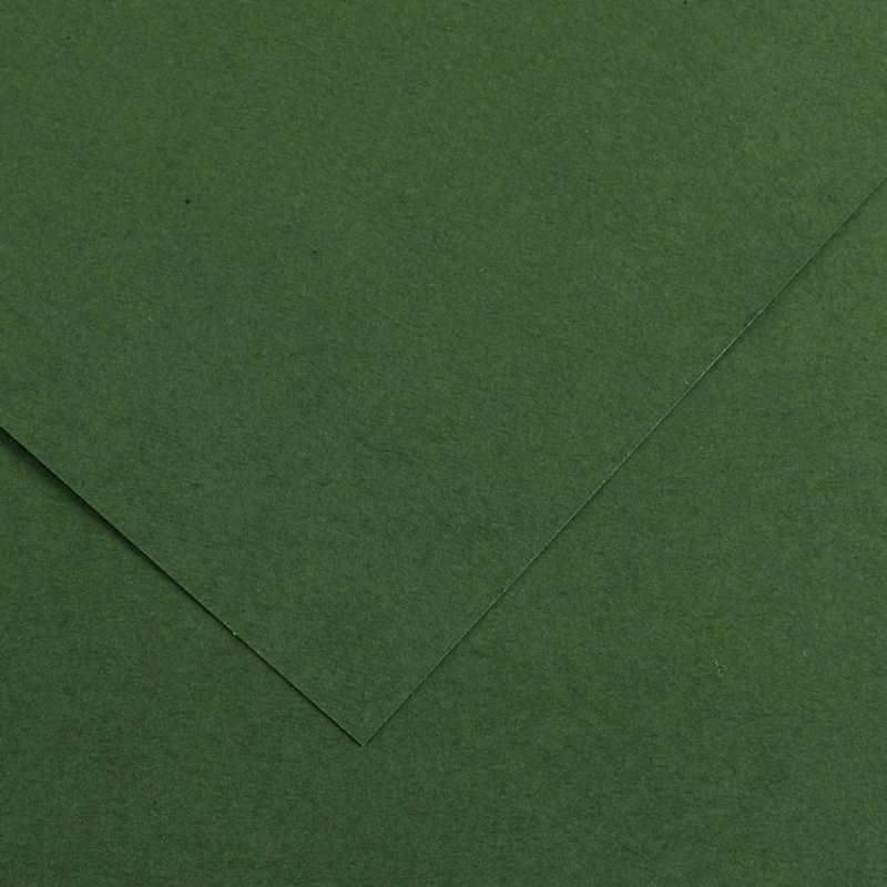 Canson Colorline 220g 50x70cm 31 Fir Tree Canson Colorline 220g 50x70cm 31 Fir Tree