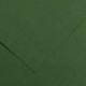 Canson Colorline 220g 50x70cm 31 Fir Tree Canson Colorline 220g 50x70cm 31 Fir Tree