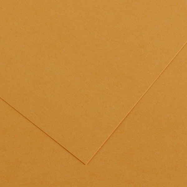 Canson Colorline 220g 50x70cm 32 Leather