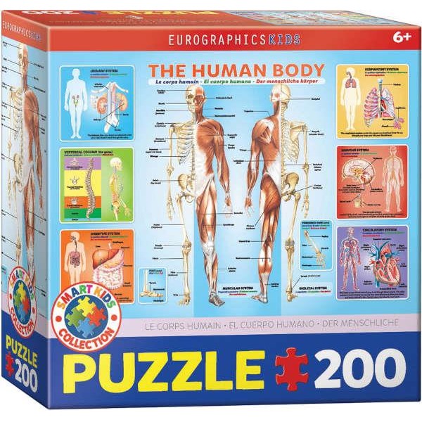 Eurographics 200τεμ Παζλ Ανθρώπινο Σώμα Eurographics 200τεμ Παζλ Ανθρώπινο Σώμα