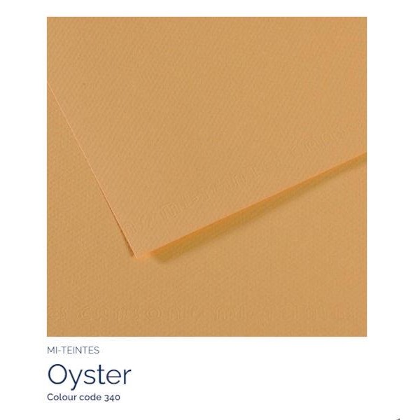 Mi-Teintes A4 21x29,7cm 160gr 340 Oyster
