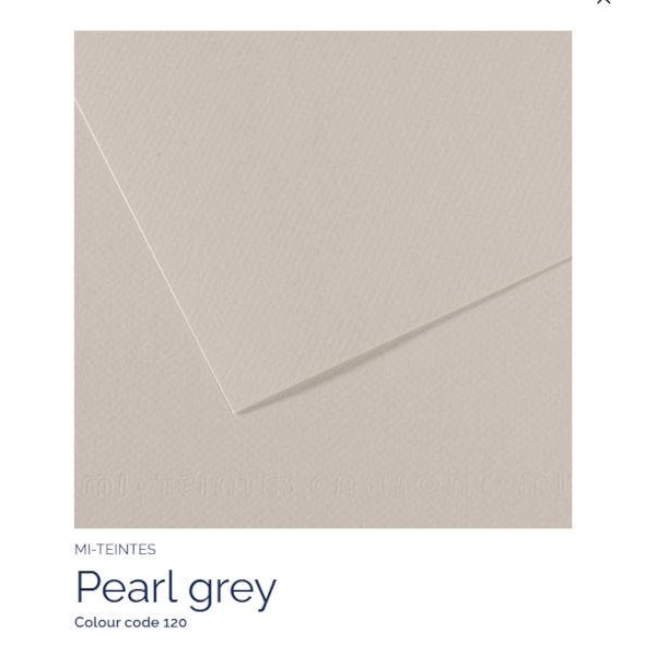 Mi-Teintes A4 21x29,7cm 160gr 120 Pearl grey Mi-Teintes A4 21x29,7cm 160gr 120 Pearl grey