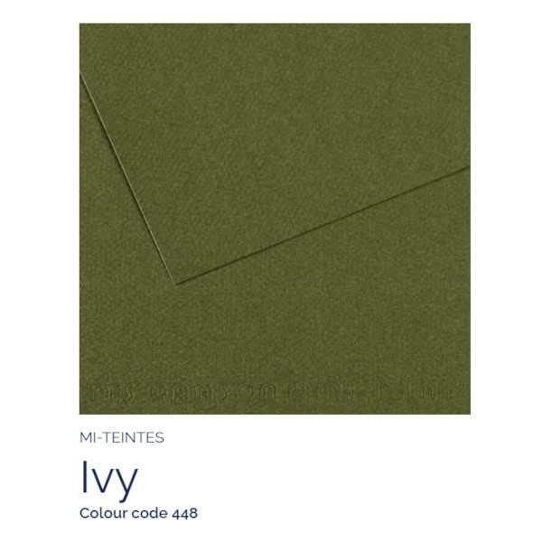 Mi-Teintes 50x65cm 160gr 448 Ivy Mi-Teintes 50x65cm 160gr 448 Ivy