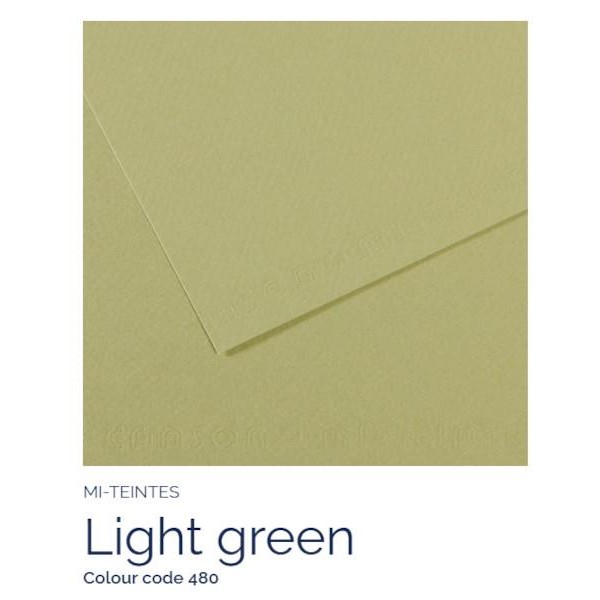Mi-Teintes 50x65cm 160gr 480 Light green Mi-Teintes 50x65cm 160gr 480 Light green