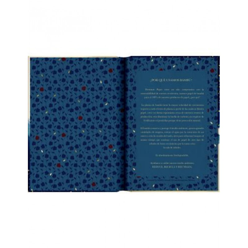 Σημειωματάριο Σκληρόδετο 12x17cm Μικρός Πρίγκιπας Premium Paper