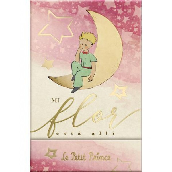 Σημειωματάριο Μαγνητικό Le Petit Prince