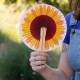 Fisura Βεντάλια Pai Pai Sunflowers Fisura Βεντάλια Pai Pai Sunflowers