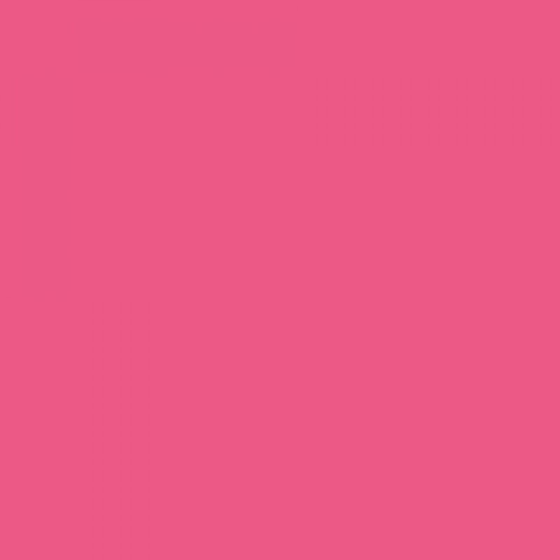 Rit Dye Liquid Fuchsia Rit Dye Liquid Fuchsia
