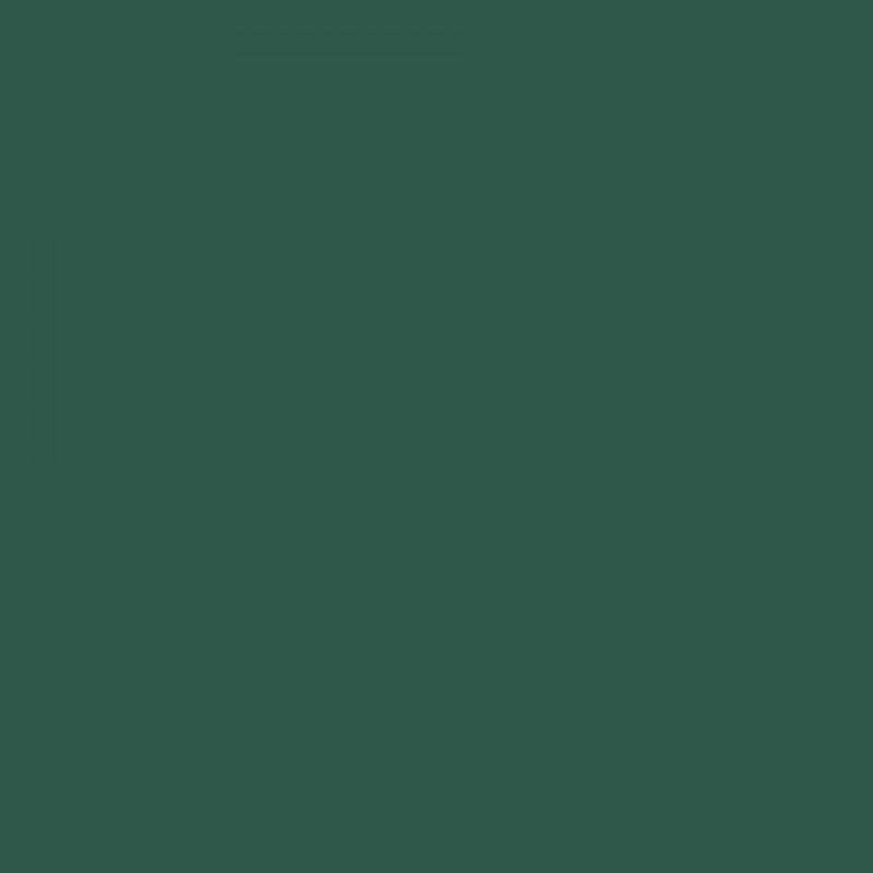 Rit Dye Powder Dark Green