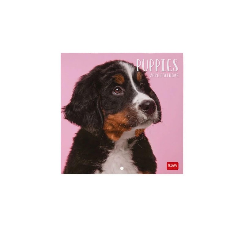 Legami 2026 Wall Calendar - Puppies - 18x18cm