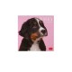 Legami 2026 Wall Calendar - Puppies - 18x18cm