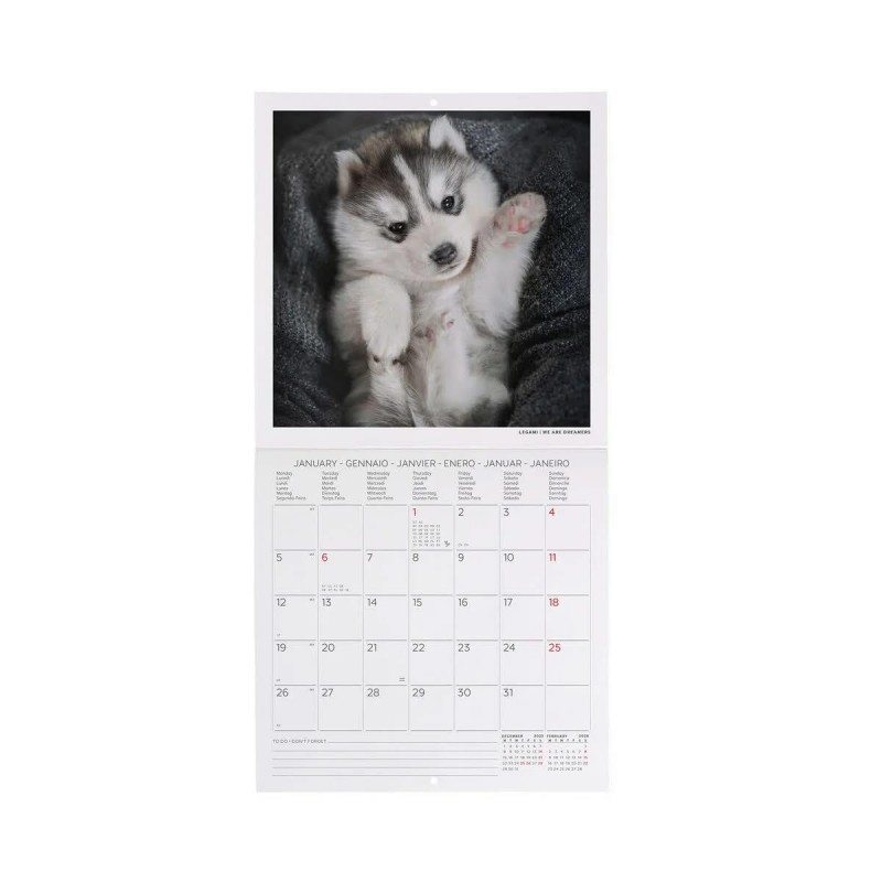 Legami 2026 Wall Calendar - Puppies - 18x18cm