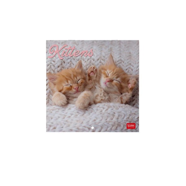 Legami 2026 Wall Calendar - Kittens - 18x18cm Legami 2026 Wall Calendar - Kittens - 18x18cm