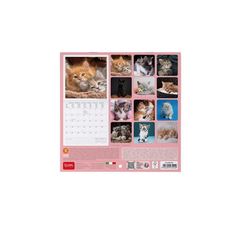 Legami 2026 Wall Calendar - Kittens - 18x18cm