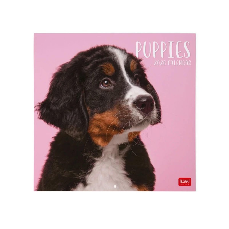 Legami 2026 Wall Calendar - Puppies - 30x29cm