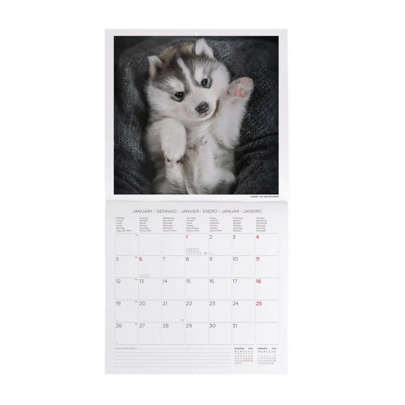 Legami 2026 Wall Calendar - Puppies - 30x29cm