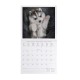 Legami 2026 Wall Calendar - Puppies - 30x29cm