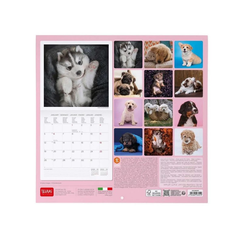 Legami 2026 Wall Calendar - Puppies - 30x29cm
