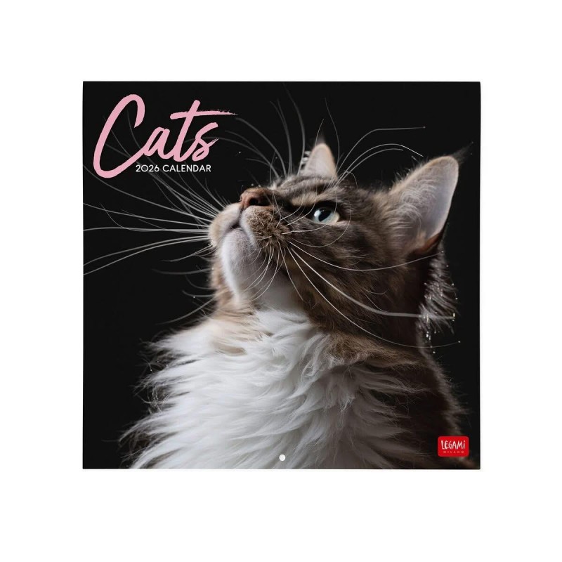 Legami 2026 Wall Calendar - Cats - 30x29cm