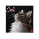 Legami 2026 Wall Calendar - Cats - 30x29cm