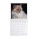 Legami 2026 Wall Calendar - Cats - 30x29cm