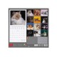 Legami 2026 Wall Calendar - Cats - 30x29cm