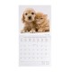 Legami 2026 Wall Calendar - Best Friends - 30x29cm