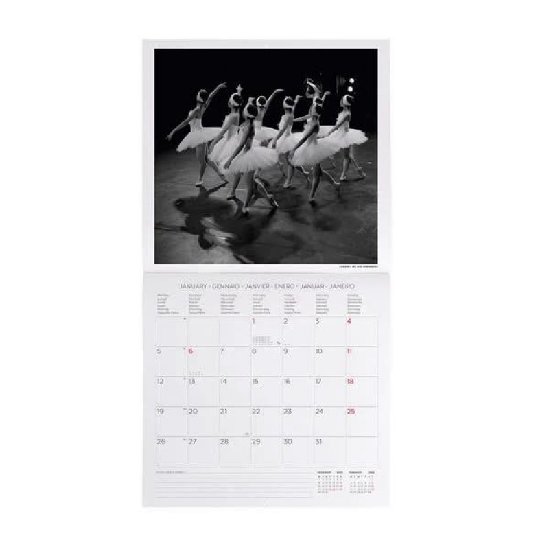 Legami 2026 Wall Calendar - Ballet - 30x29cm