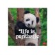 Legami 2026 Wall Calendar - Life Is Pantastic - 30x29cm