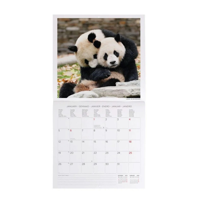 Legami 2026 Wall Calendar - Life Is Pantastic - 30x29cm