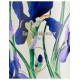 Chillys Bottle 500ml Emma Bridgewater Blue Iris