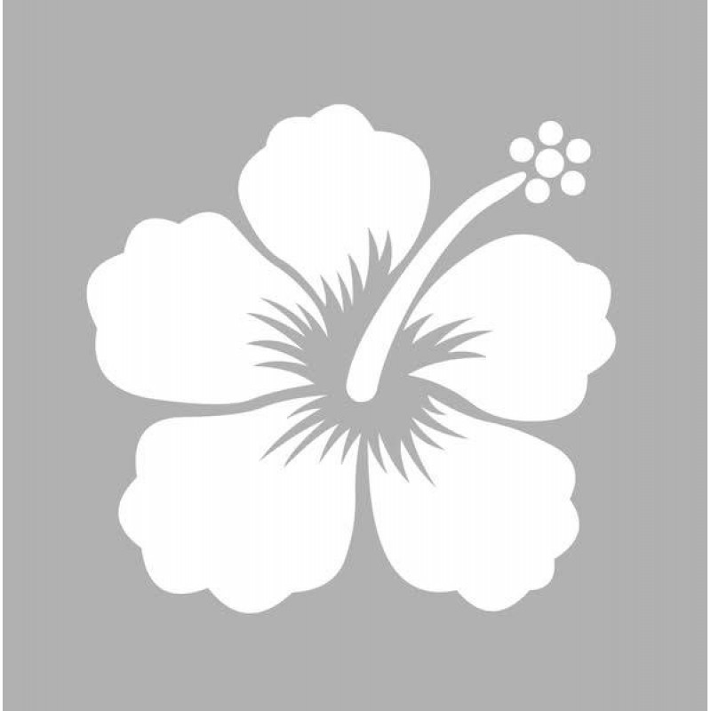 Στένσιλ 8x8cm Υβίσκος