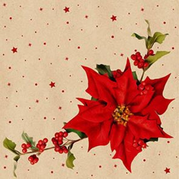 By Nature Χαρτοπετσέτες Φαγητού 33cm 20τεμ Poinsettia