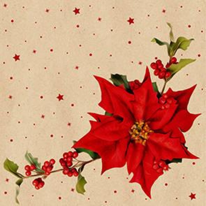 By Nature Χαρτοπετσέτες Φαγητού 33cm 20τεμ Poinsettia