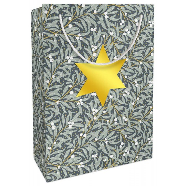 Σακούλα Δώρου 23x33x11 mit Stern gold