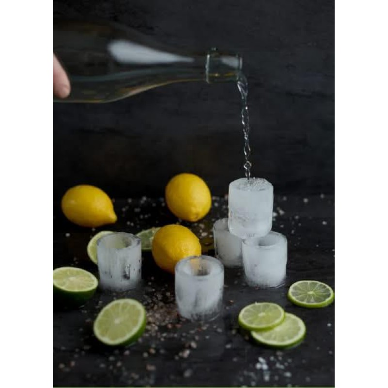 Ice Cube Shot Glass Mould