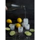 Ice Cube Shot Glass Mould